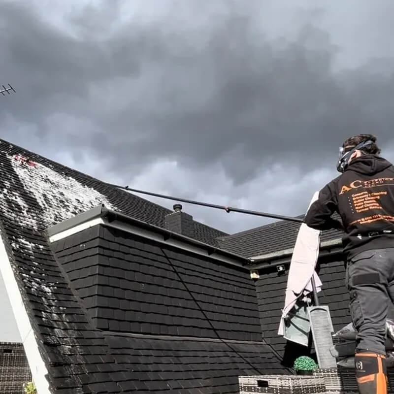 Roof Cleaning